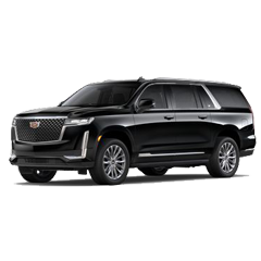 miami limo service